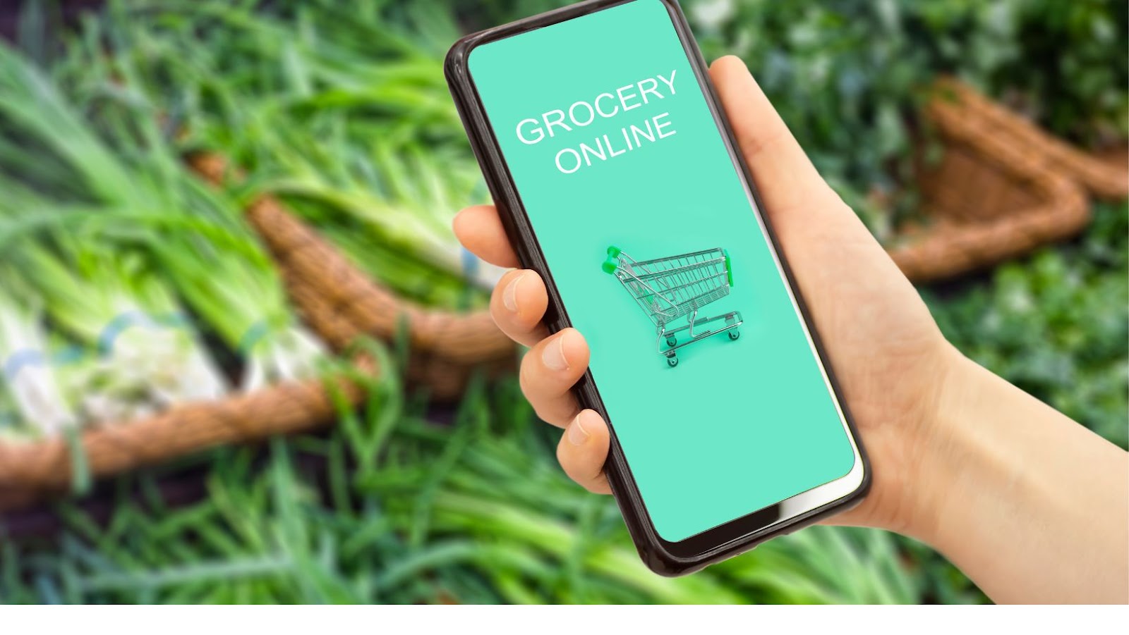 How Rohlik is shaking up the online grocery market